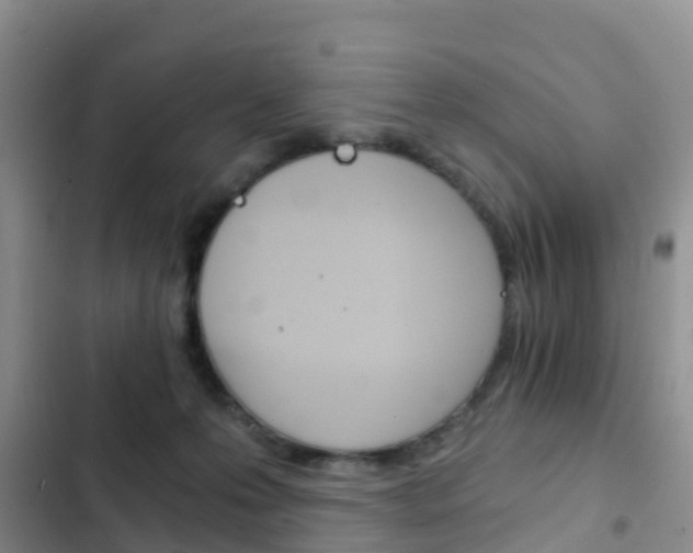 X0000102770223200808181002