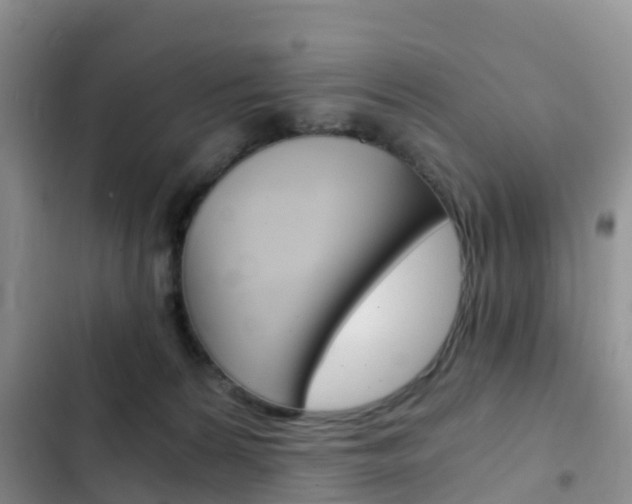 X0000102770224200808181002