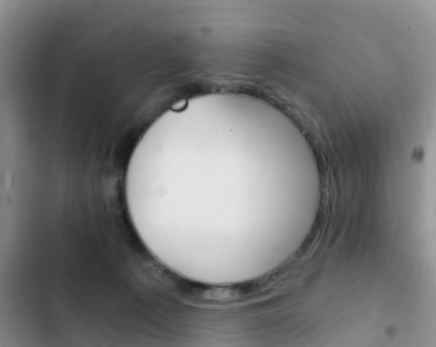 X0000102770225200808181002