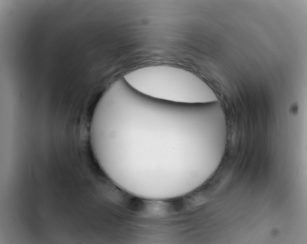 X0000102770226200808181002