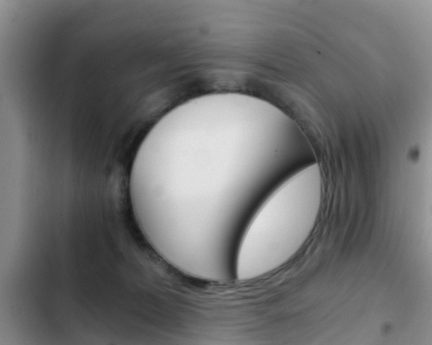 X0000102770228200808181002