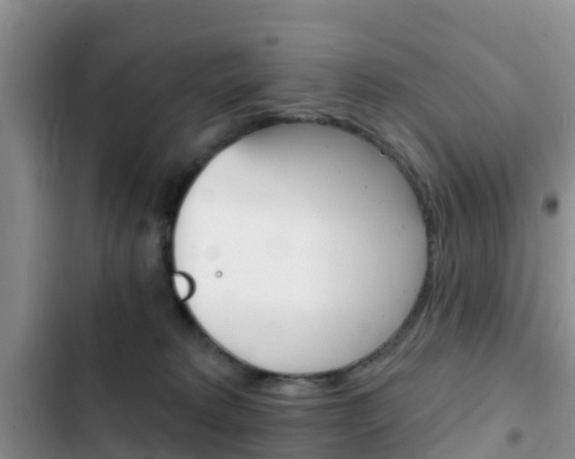 X0000102770229200808181002