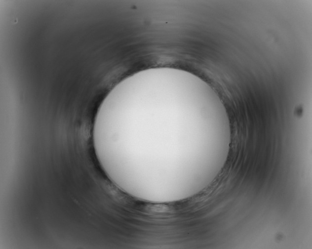 X0000102770230200808181002