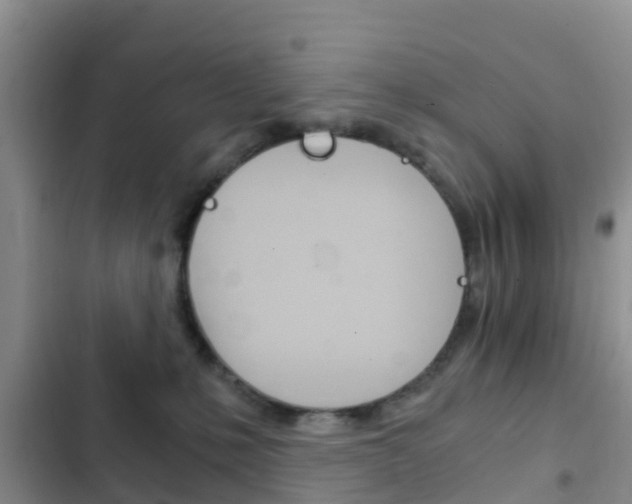X0000102770231200808181002