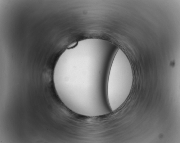 X0000102770232200808181002