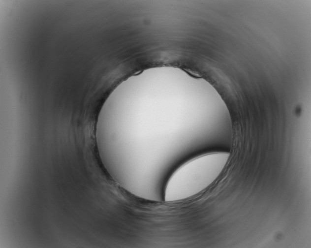 X0000102770236200808181002