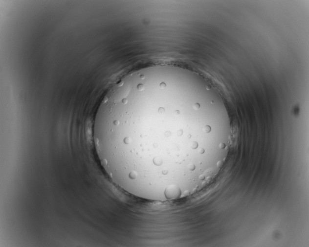 X0000102770238200808181002
