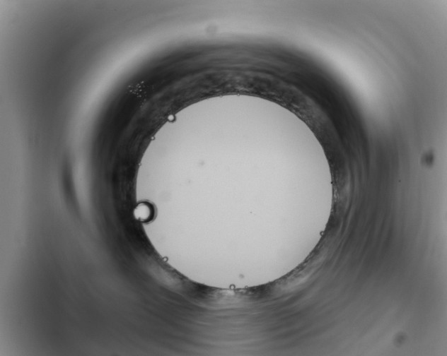 X0000102770239200808181002