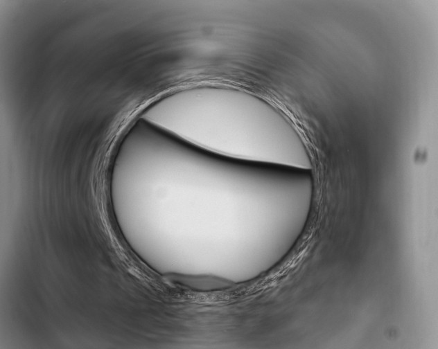 X0000102770241200808181001