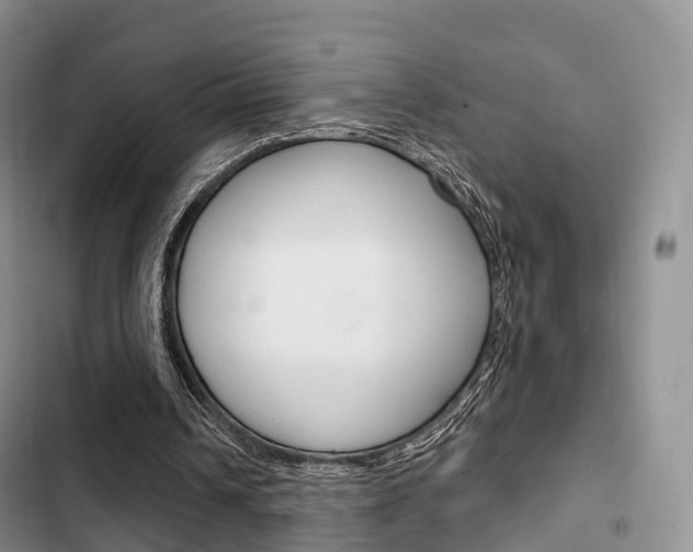 X0000102770242200808181001