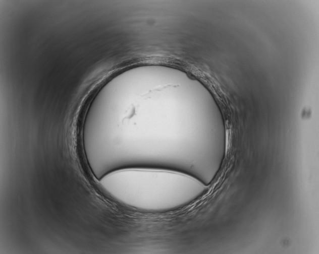 X0000102770243200808181001
