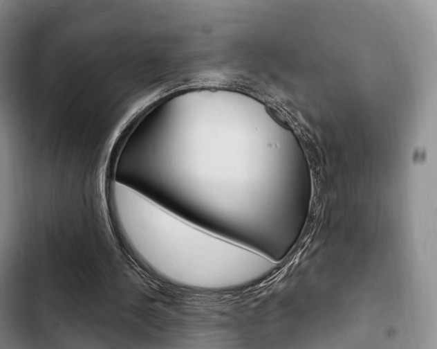 X0000102770244200808181001