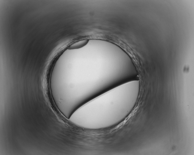 X0000102770245200808181001