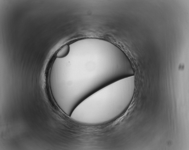 X0000102770246200808181001