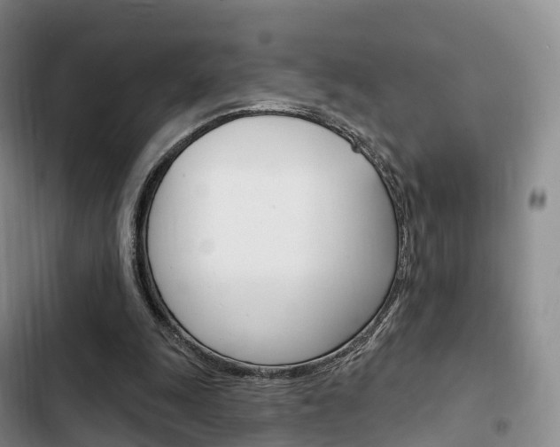 X0000102770247200808181001