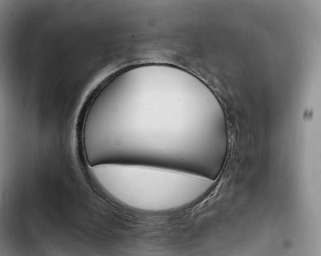 X0000102770248200808181001
