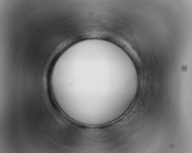 X0000102770250200808181001