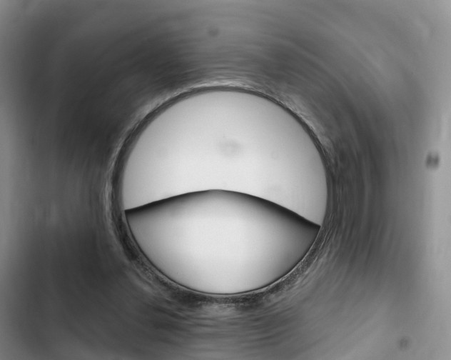 X0000102770252200808181001