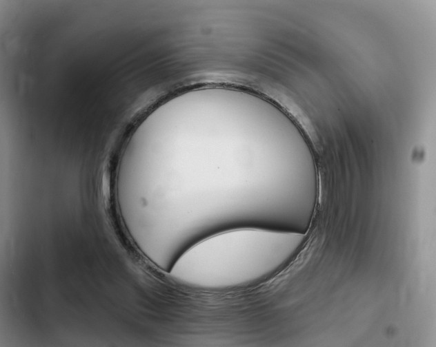 X0000102770253200808181001