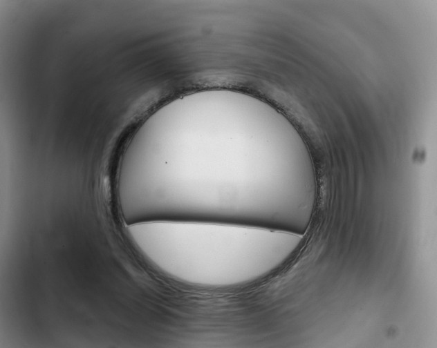 X0000102770254200808181001