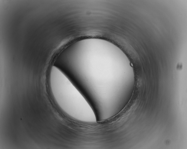 X0000102770256200808181001