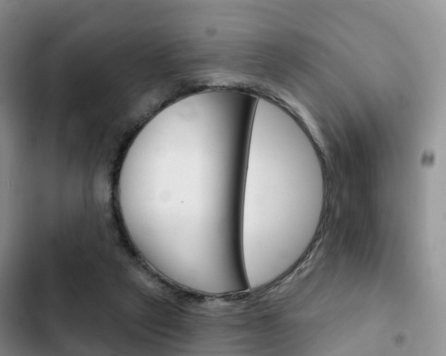 X0000102770257200808181001