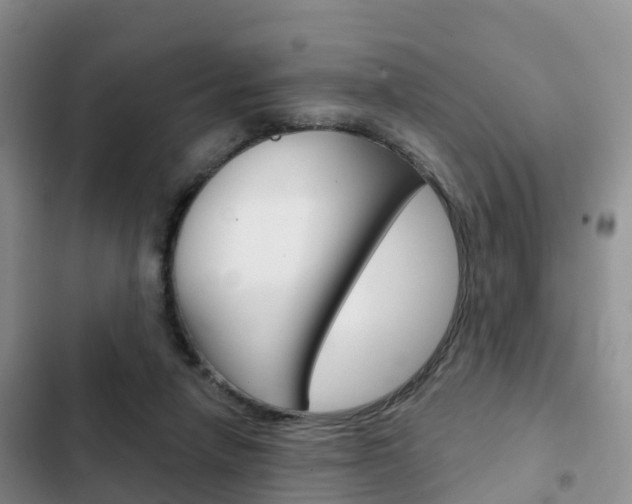 X0000102770258200808181001