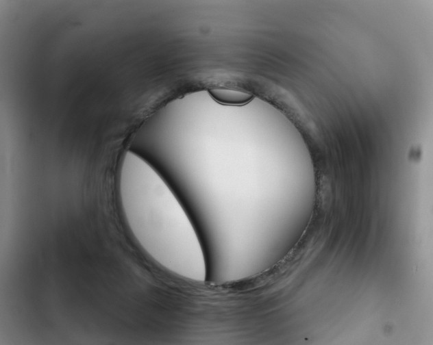 X0000102770259200808181001