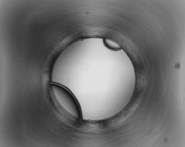 X0000102770260200808181001