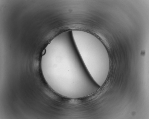 X0000102770261200808181001