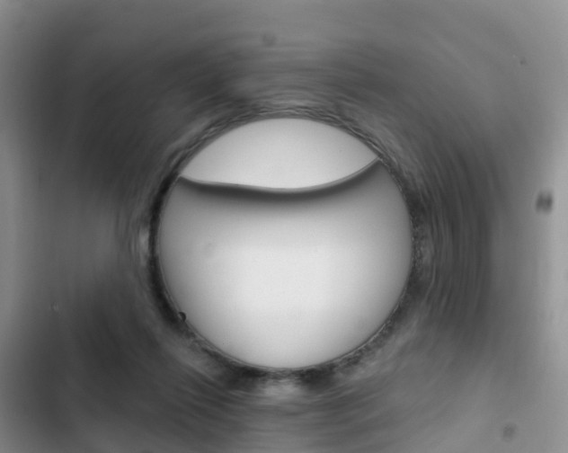 X0000102770262200808181001