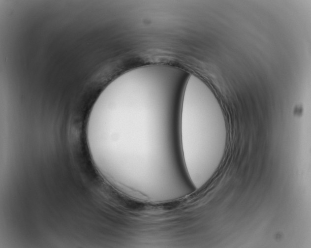 X0000102770263200808181001