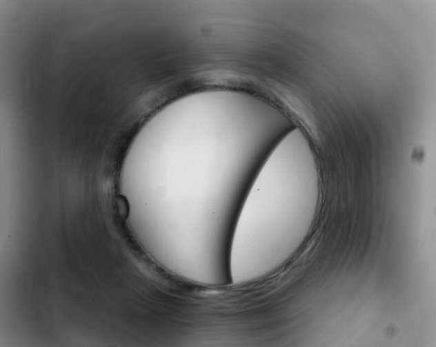 X0000102770265200808181001