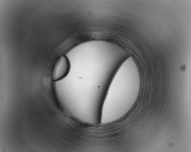 X0000102770266200808181001