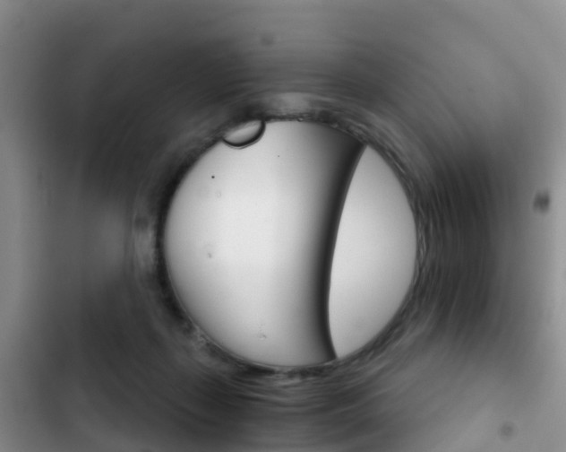 X0000102770267200808181001