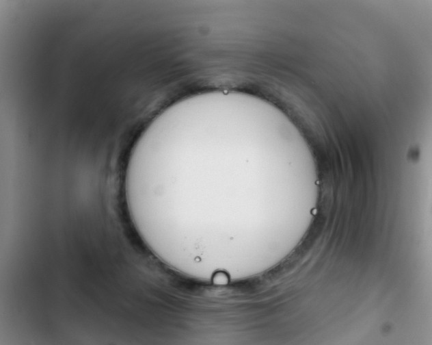 X0000102770268200808181001