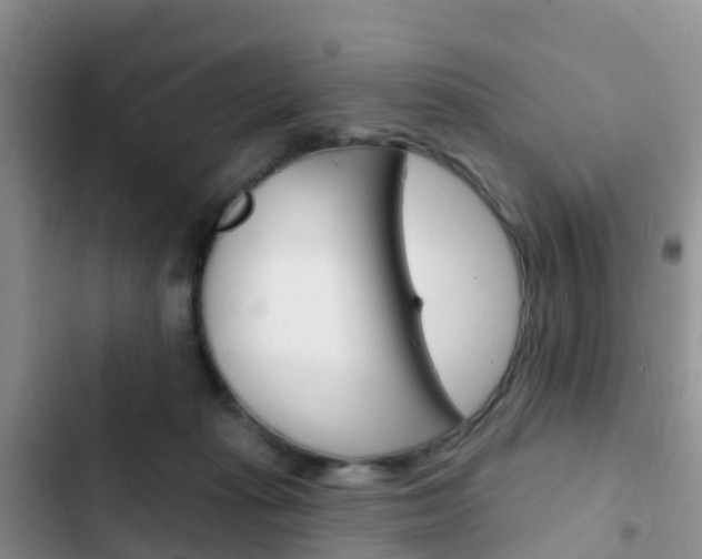X0000102770269200808181001