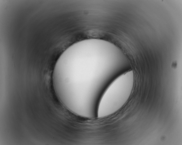 X0000102770271200808181002