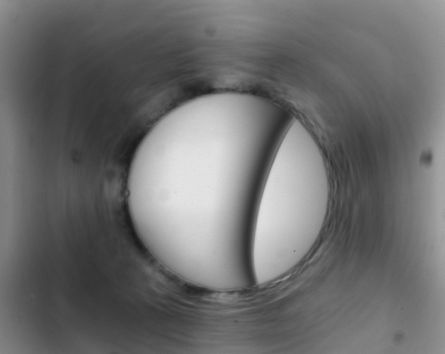 X0000102770273200808181002