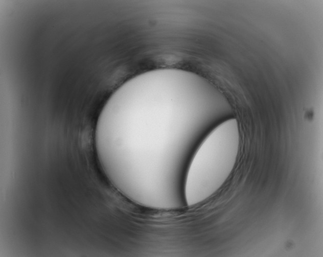 X0000102770274200808181002