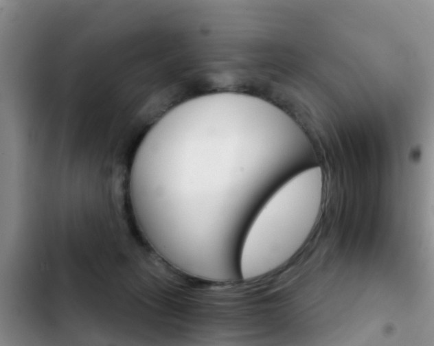 X0000102770275200808181002
