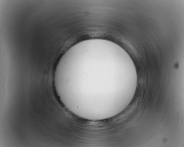 X0000102770277200808181002