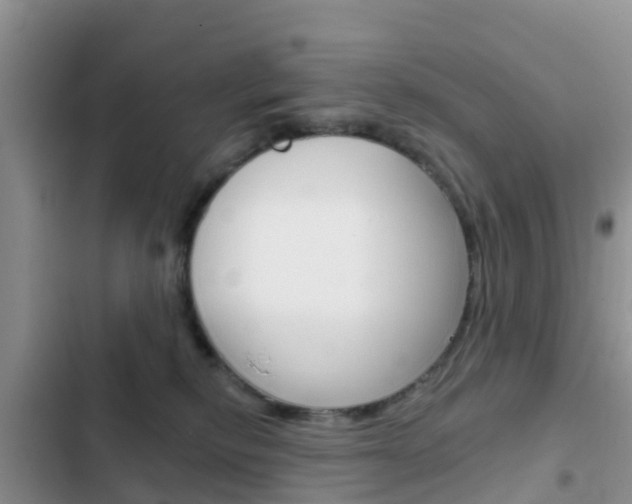 X0000102770278200808181002