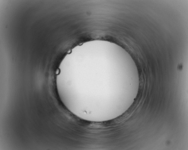 X0000102770280200808181002