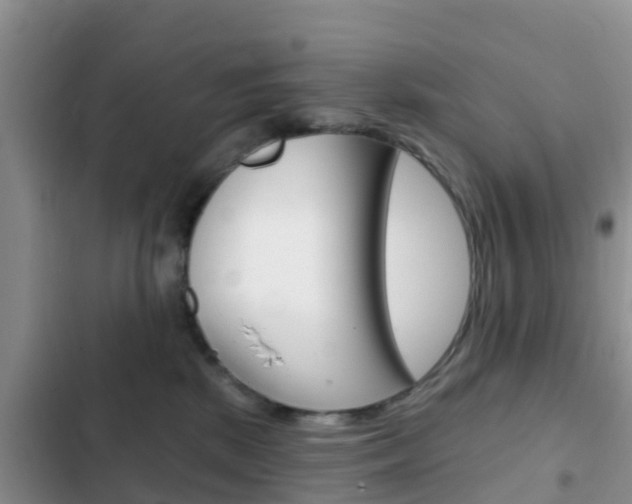 X0000102770281200808181002