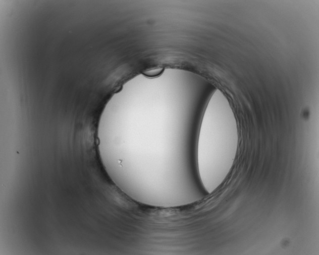 X0000102770282200808181002