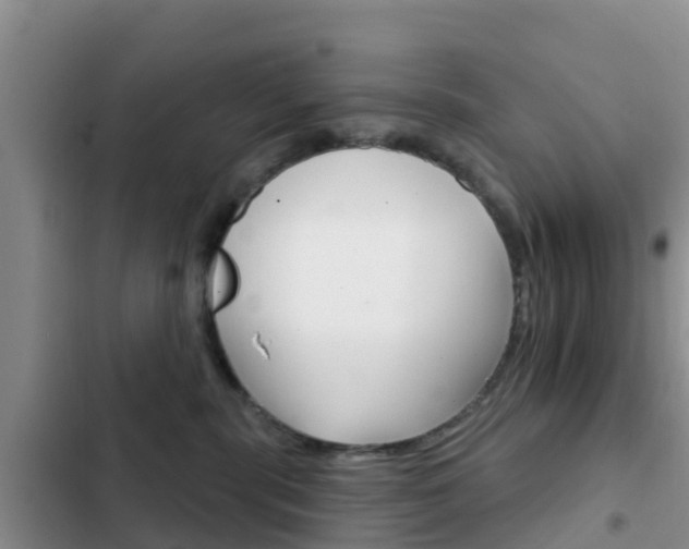 X0000102770283200808181002