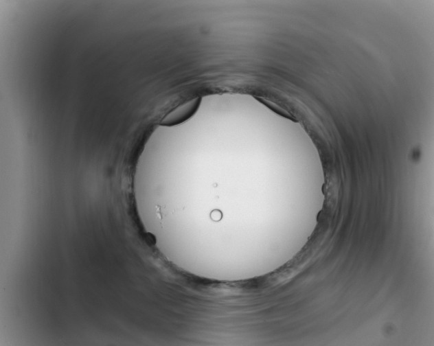 X0000102770284200808181002