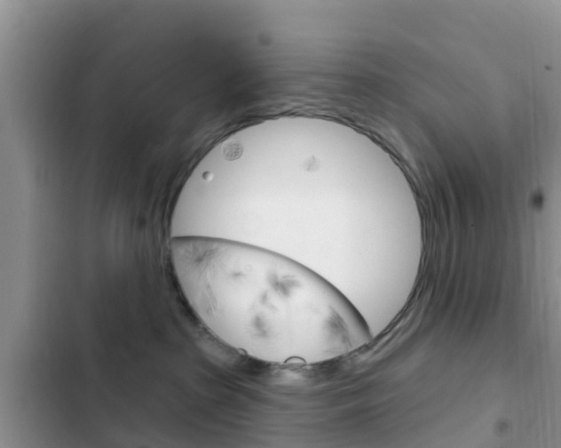 X0000102770285200808181002