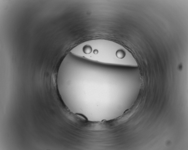 X0000102770286200808181002